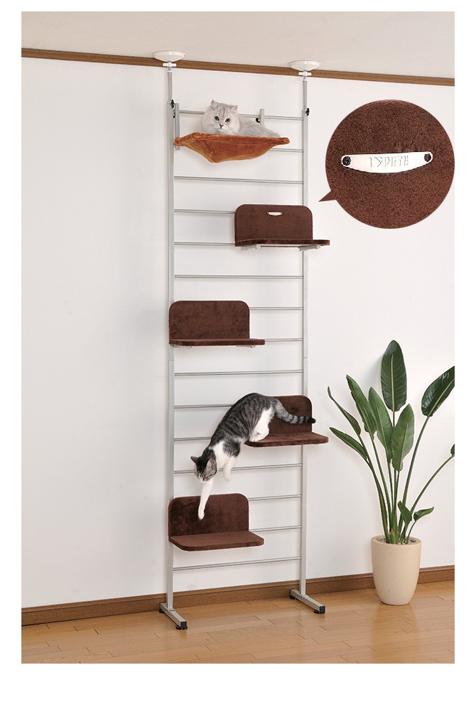 Bonbi ܥӥ륳 ܥ åȥ