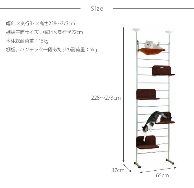 Bonbi ܥӥ륳 ܥ åȥ