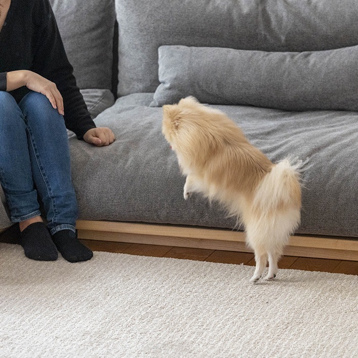 Fumi �ե� ���������׵� ̵�̤Τʤ����ե������å����Ǥ��Ĥ������ե��� 5�ĥ��å�