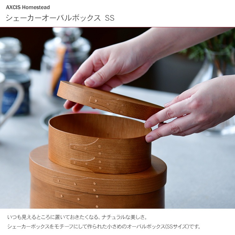 AXCIS() Хܥå SS  ʥ 7off