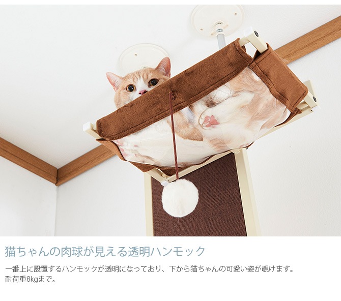 Bonbi ܥӥ륳 ܥ åȥ