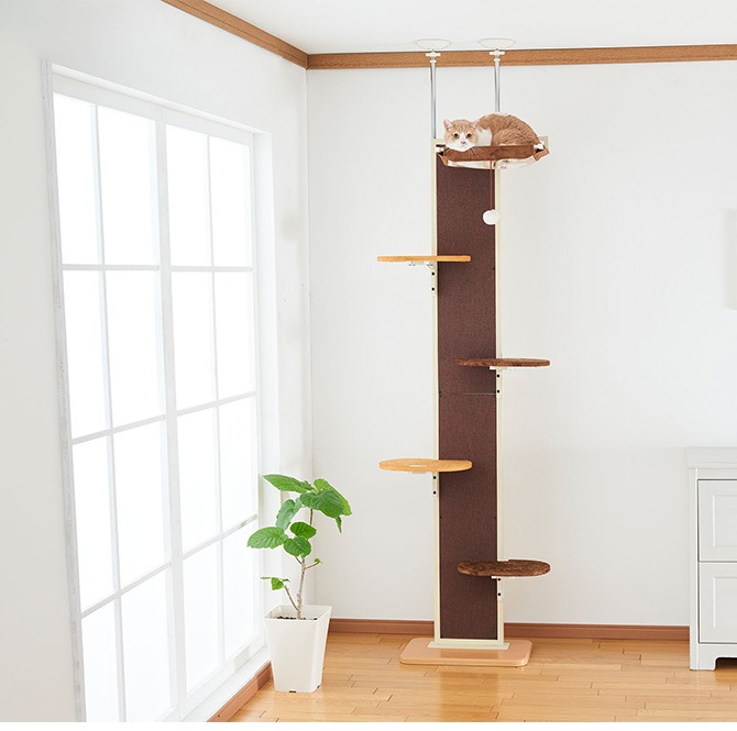 Bonbi ܥӥ륳 ܥ åȥ