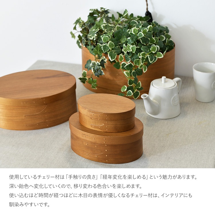 AXCIS() Хܥå SS  ֥å 7off