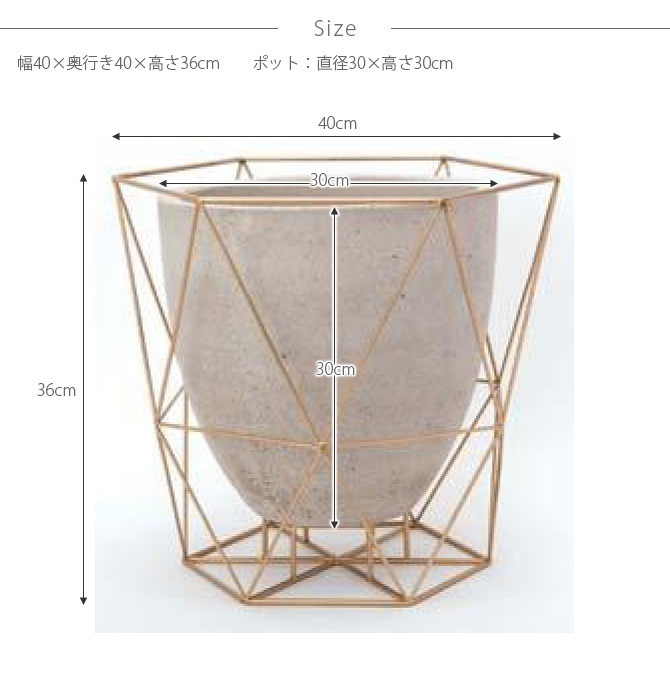 FARM ե 磻䡼եȥݥå