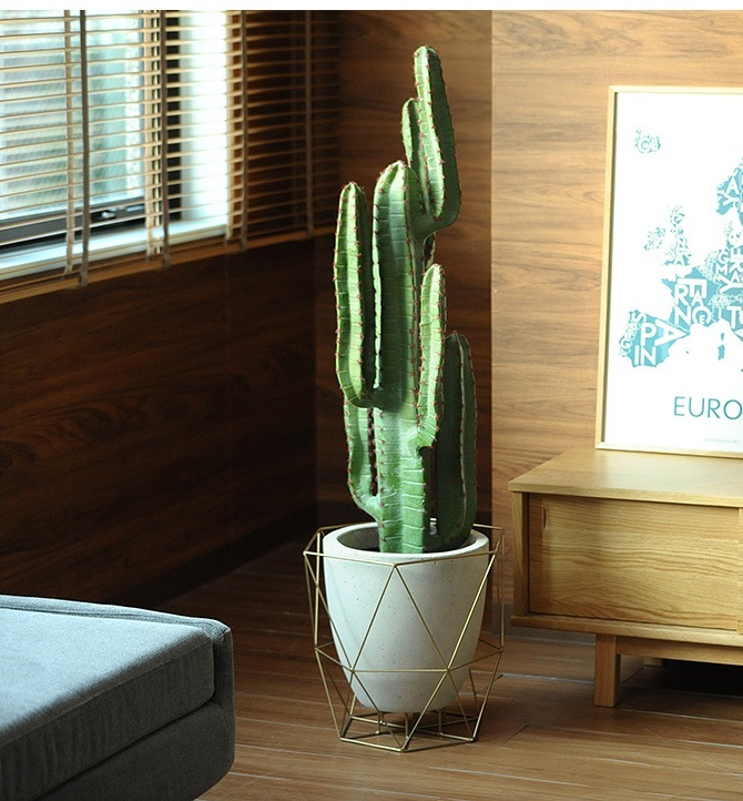 FARM ե 磻䡼եȥݥå