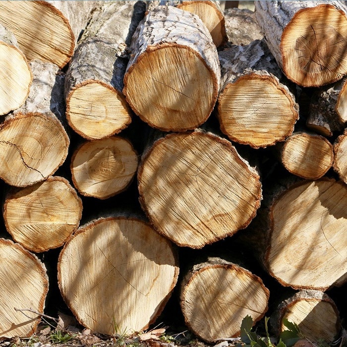 Fumi �ե� �����ˤʤ륽�ե� ���� �����ǥ��������