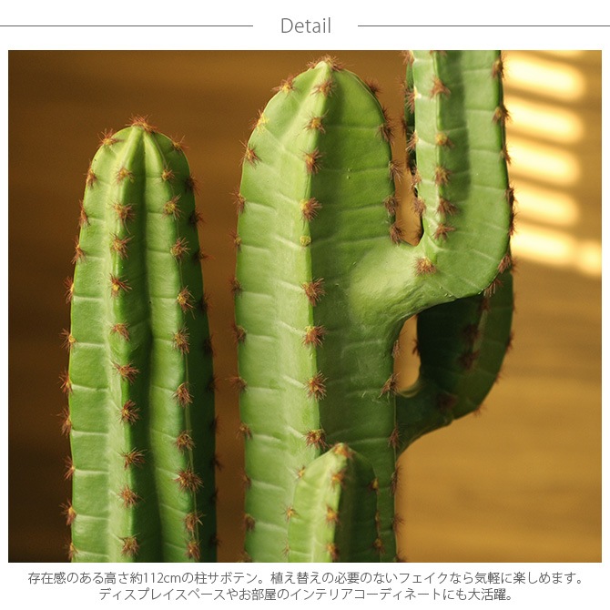 Brown. �֥饦�� �ե��������꡼�� �쥵�ܥƥ� �ݥå� 112cm