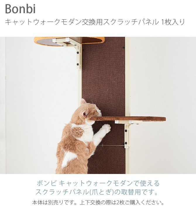 Bonbi ܥӥ륳 ܥ åȥѥåѥͥ 1