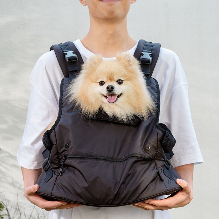 FAD �ե��å� �ե���ȥۡ���Ɏ�����꡼