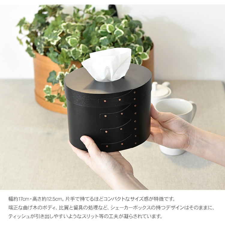 AXCIS()  ƥåܥå  ʥ 7off