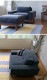 SIEVE  bulge sofa С ե 1ͳݤ