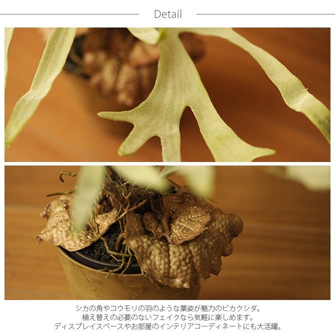 Brown. �֥饦�� �ե��������꡼�� �ӥ������� �ݥå� 58cm