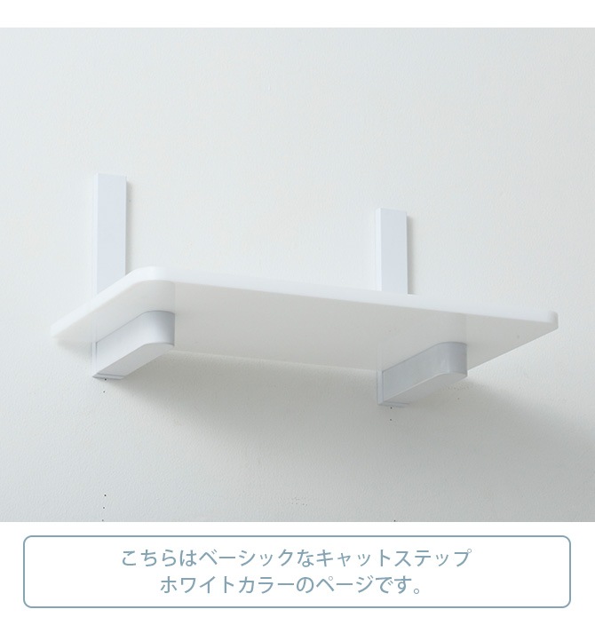 animacolle ˥ޥ Catroad+  åȥƥåסۥ磻