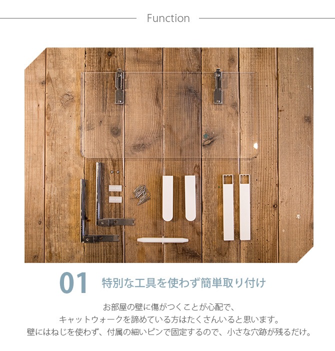 animacolle ˥ޥ Catroad+  åȥƥåסۥ磻