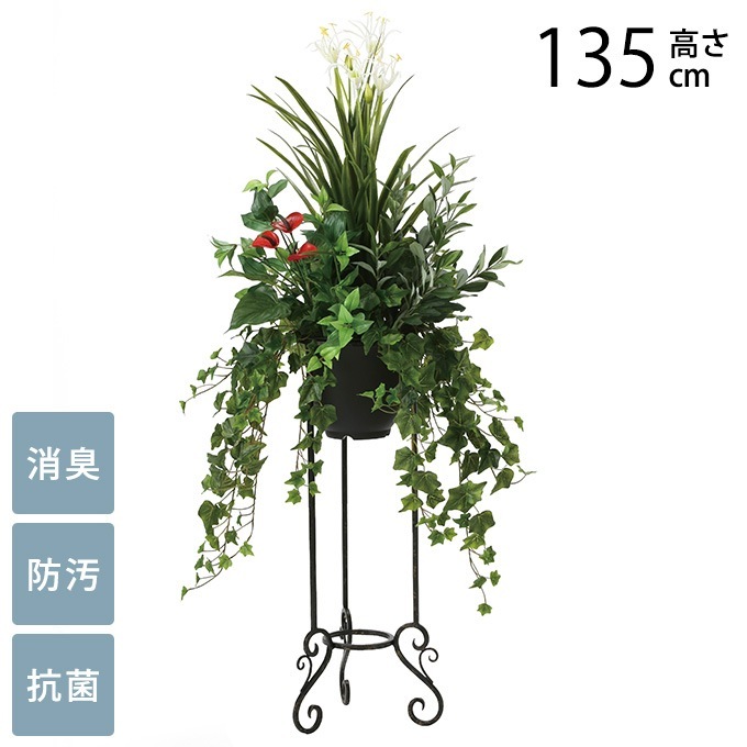 �ե��������꡼�� �������󥹥���� ��å� 1.35m
