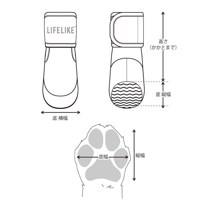 LIFELIKE �饤�ե饤�� ���֥륹�ȥ�åץ��塼�� SS��S