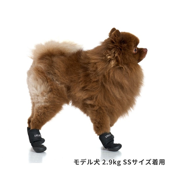 LIFELIKE �饤�ե饤�� ���֥륹�ȥ�åץ��塼�� SS��S