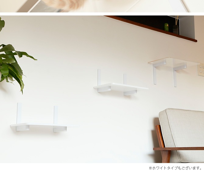 animacolle ˥ޥ Catroad+  å ꥢƥå