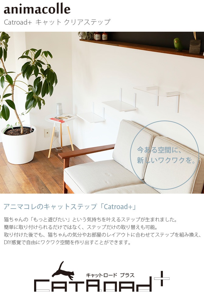 animacolle ˥ޥ Catroad+  å ꥢƥå