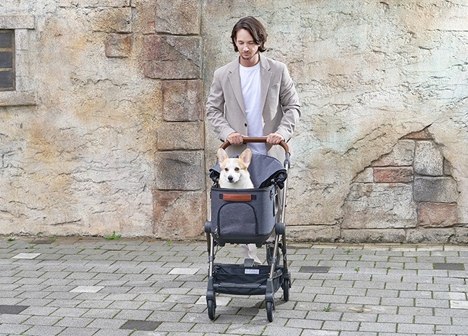 ROYAL TAILS Grace Classic ���쥤�����饷�å� �ڥåȥ�����