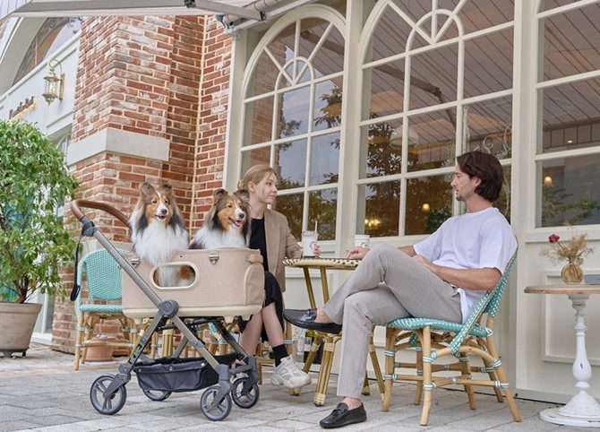 ROYAL TAILS Grace Classic ���쥤�����饷�å� �ڥåȥ�����