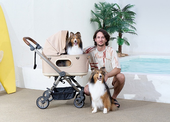 ROYAL TAILS Grace Classic ���쥤�����饷�å� �ڥåȥ�����