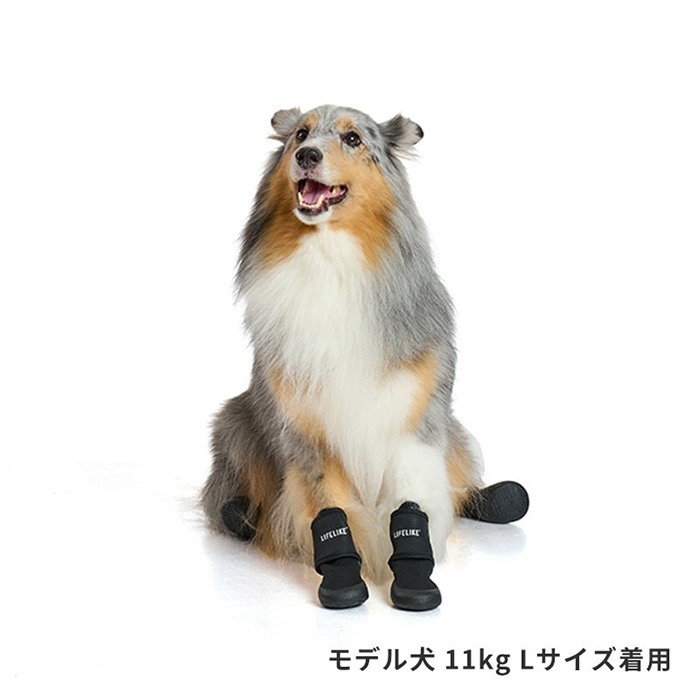 LIFELIKE �饤�ե饤�� ���֥륹�ȥ�åץ��塼�� M��L