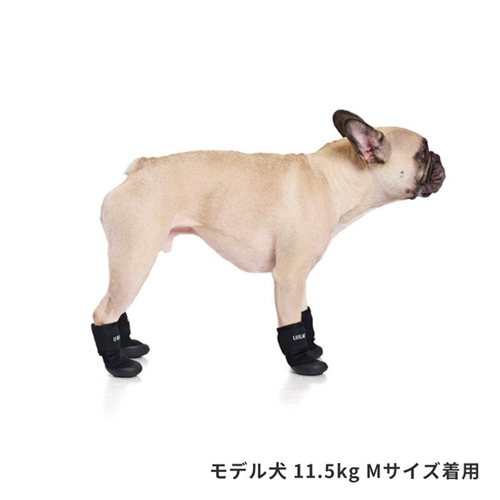 LIFELIKE �饤�ե饤�� ���֥륹�ȥ�åץ��塼�� M��L