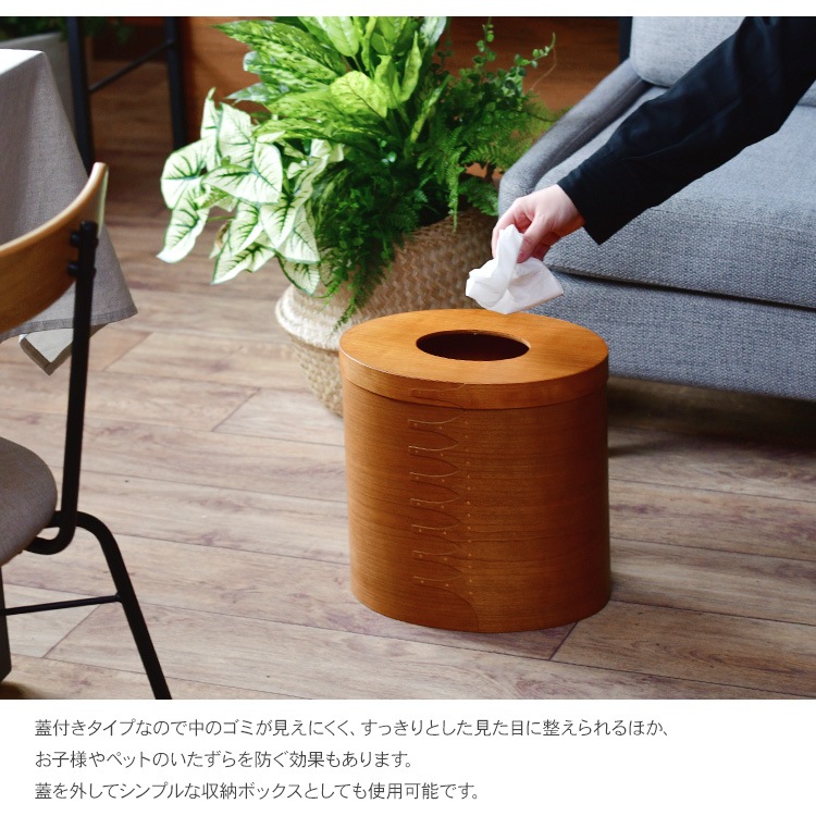 AXCIS() ȥܥå  ʥ 7off