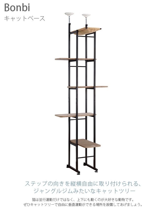 Bonbi ܥӥ륳 ܥ åȥ١