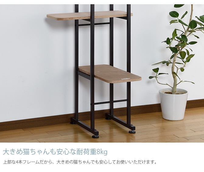 Bonbi ܥӥ륳 ܥ åȥ١