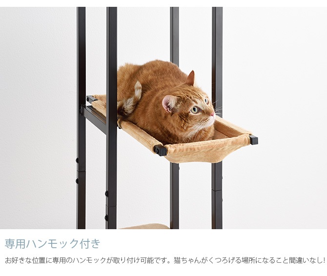 Bonbi ܥӥ륳 ܥ åȥ١