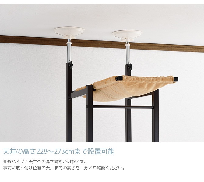 Bonbi ܥӥ륳 ܥ åȥ١