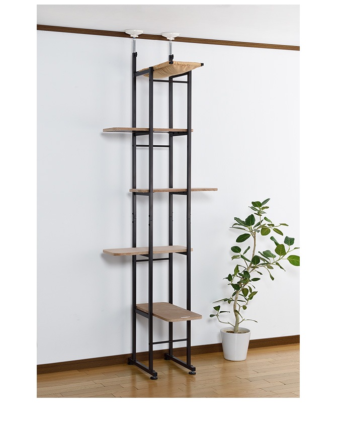 Bonbi ܥӥ륳 ܥ åȥ١