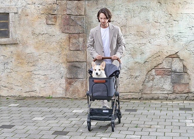 ROYAL TAILS Grace Classic Plus ���쥤�����饷�å� �ץ饹 �ڥåȥ�����