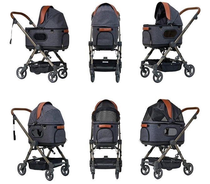 ROYAL TAILS Grace Classic Plus ���쥤�����饷�å� �ץ饹 �ڥåȥ�����