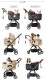 ROYAL TAILS Grace Classic Plus ���쥤�����饷�å� �ץ饹 �ڥåȥ�����