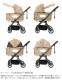 ROYAL TAILS Grace Classic Plus ���쥤�����饷�å� �ץ饹 �ڥåȥ�����