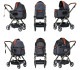 ROYAL TAILS Grace Classic Plus ���쥤�����饷�å� �ץ饹 �ڥåȥ�����