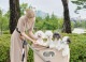 ROYAL TAILS Grace Classic Plus ���쥤�����饷�å� �ץ饹 �ڥåȥ�����