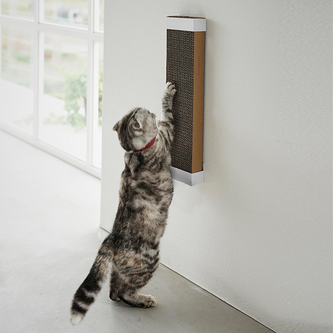 tower ��� �Ф����ܡ������б��������� ǭ���ޤȤ��ۥ����