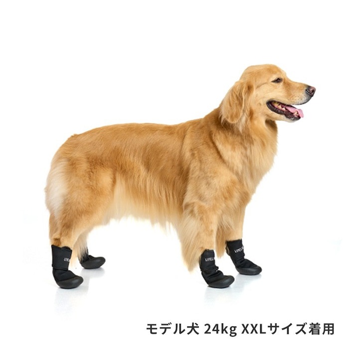 LIFELIKE �饤�ե饤�� ���֥륹�ȥ�åץ��塼�� XL��XXL