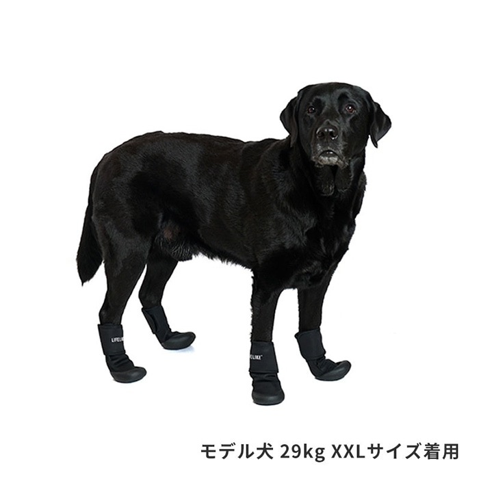 LIFELIKE �饤�ե饤�� ���֥륹�ȥ�åץ��塼�� XL��XXL