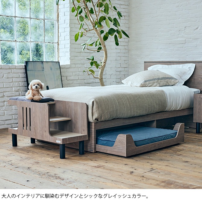 FrancePet �ե�󥹥ڥå� PE01 �ڥåȥ��ƥåץ٥��