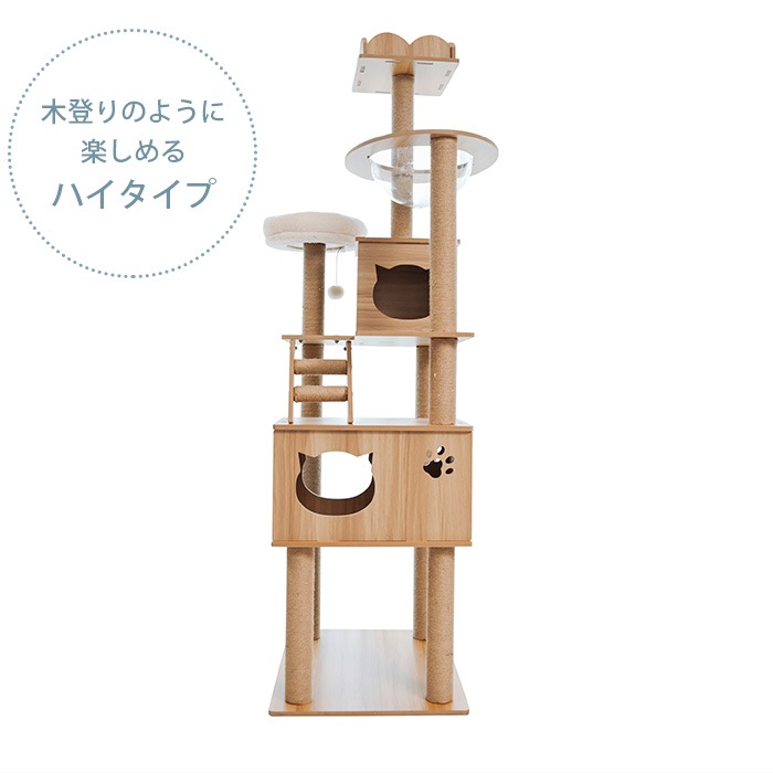 Wanyanya ˤˤ åȥФꥢåϥ