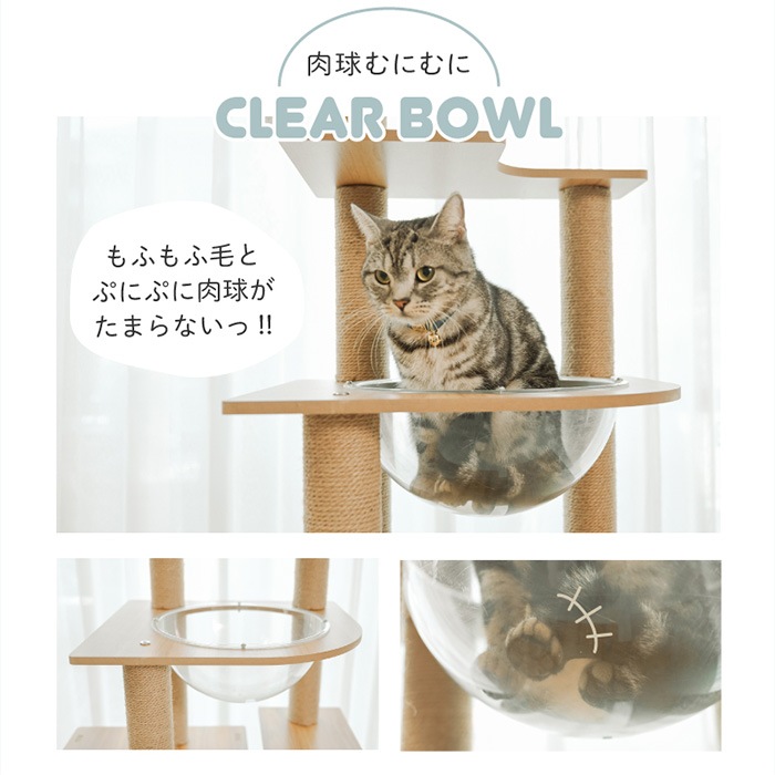 Wanyanya ˤˤ åȥФꥢåϥ