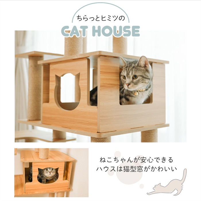 Wanyanya ˤˤ åȥФꥢåϥ