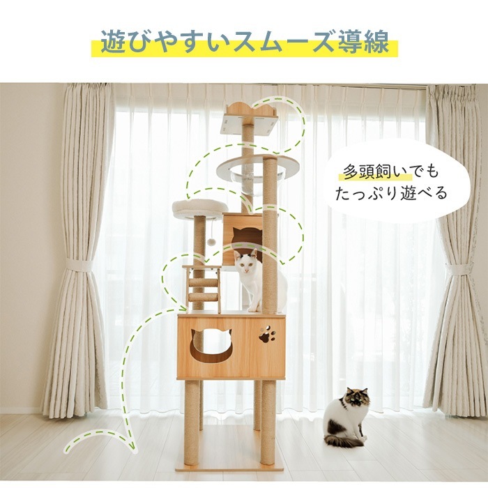 Wanyanya ˤˤ åȥФꥢåϥ