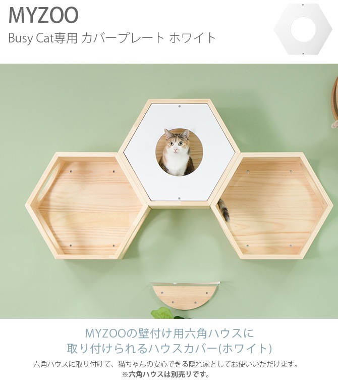 MYZOO �ޥ����� Busy Cat���� Cover Plate ���С��ץ졼�� �ۥ磻��