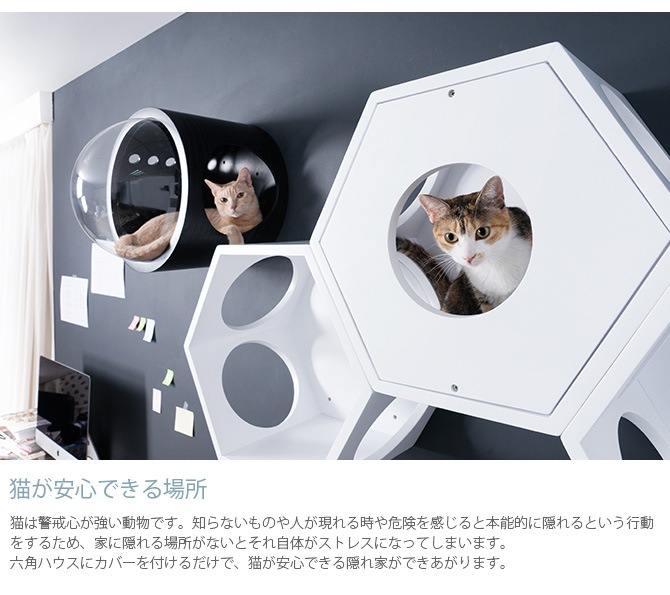 MYZOO �ޥ����� Busy Cat���� Cover Plate ���С��ץ졼�� �ۥ磻��